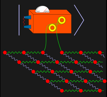 Quantum complexity